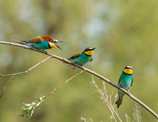 Similar image 22224758