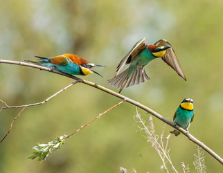 Similar image 22224759