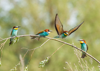 Similar image 22224760