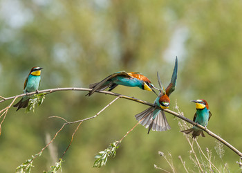 Similar image 22224761