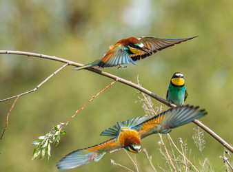 Similar image 22224762