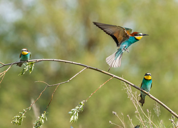 Similar image 22224763