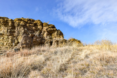 Similar image 22224769