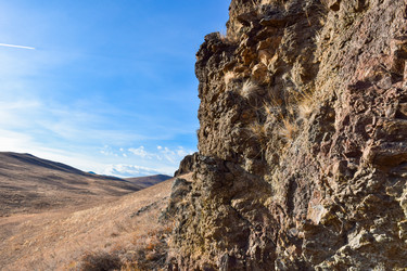 Similar image 22224788