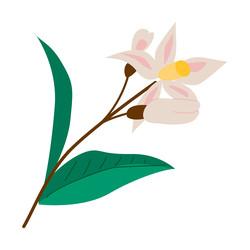 Similar image 22226038