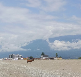 Similar image 22224804