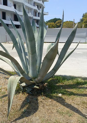 Similar image 22224812