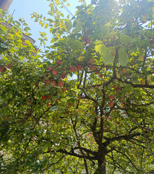 Similar image 22224814