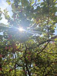 Similar image 22224815