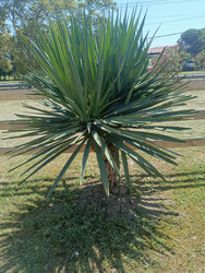 Similar image 22224816