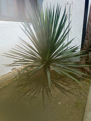 Similar image 22224819