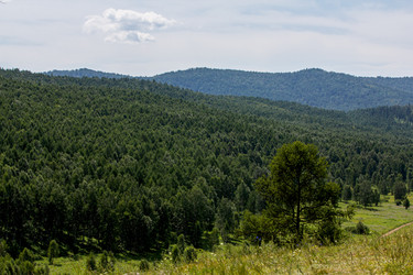 Similar image 22224270