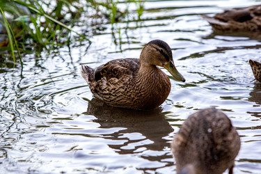 Similar image 22224275