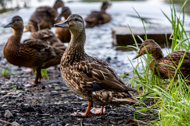 Similar image 22224276