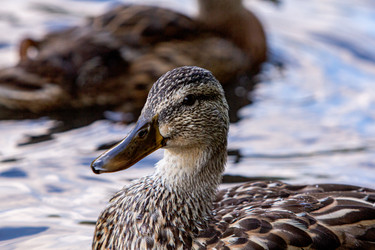 Similar image 22224277