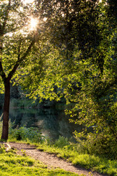 Similar image 22224278