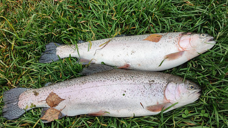 Similar image 22224283