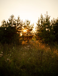 Similar image 22228751