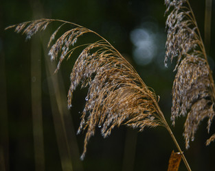 Similar image 22228752