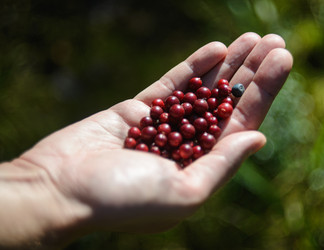 Similar image 22228753