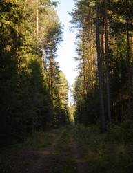 Similar image 22228755