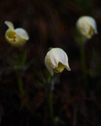 Similar image 22228758