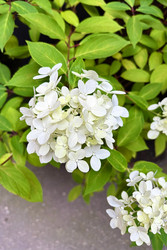 Similar image 22224644