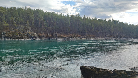 Similar image 22224653