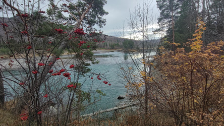 Similar image 22224654