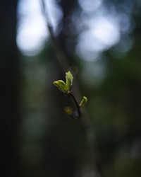 Similar image 22228759