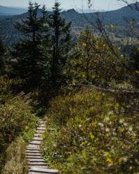 Similar image 22231350