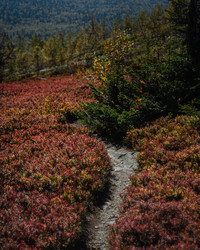 Similar image 22228763