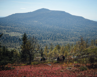 Similar image 22228764