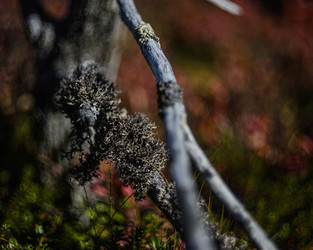 Similar image 22231351