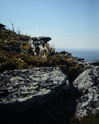 Similar image 22231352