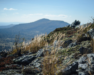 Similar image 22228766