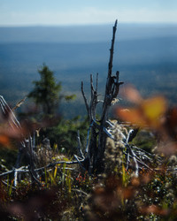 Similar image 22228767