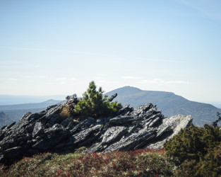 Similar image 22226126