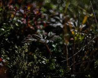 Similar image 22231357