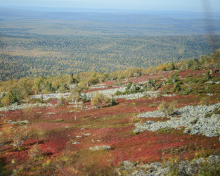 Similar image 22228768