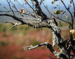 Similar image 22231359