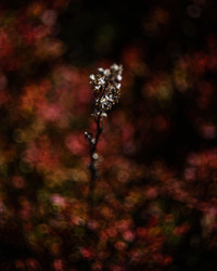 Similar image 22231360