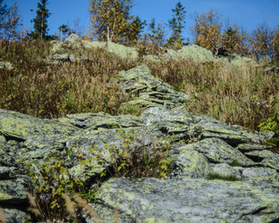 Similar image 22228770