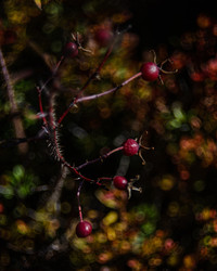 Similar image 22228771