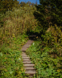 Similar image 22228772