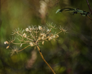 Similar image 22231361