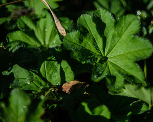 Similar image 22231362