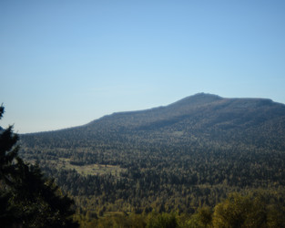 Similar image 22228773