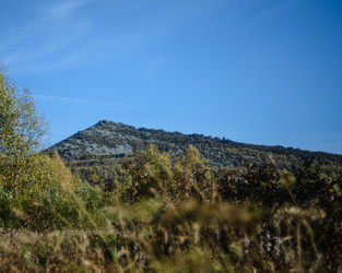 Similar image 22228774