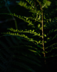 Similar image 22226132